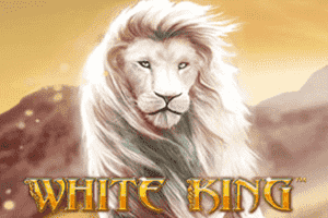 White King